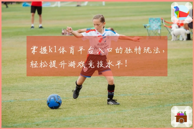 掌握k1体育平台入口的独特玩法，轻松提升游戏竞技水平！